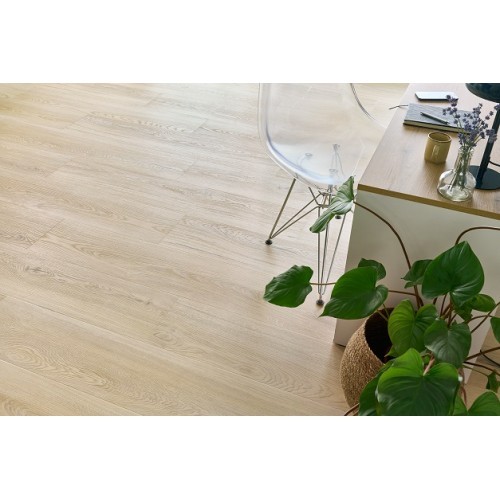 CWS 203, BRANDON OAK (IŠPARDUOTA)