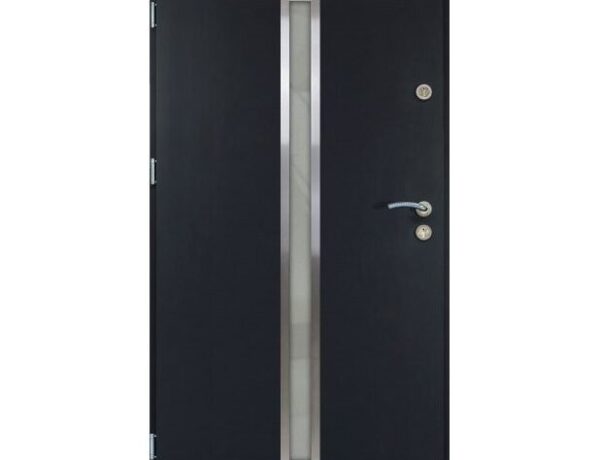 Lauko durys T55 INOX