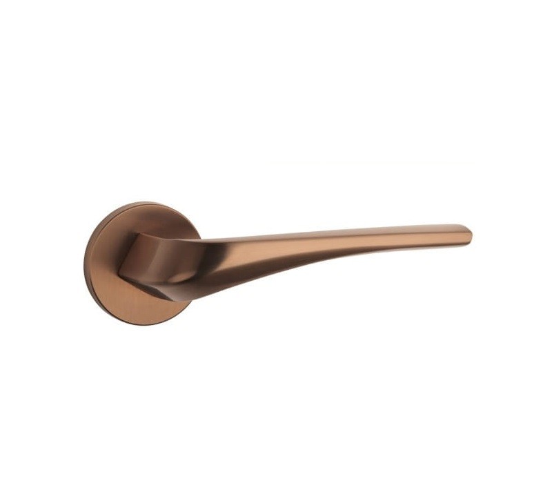DALIA - Image 5