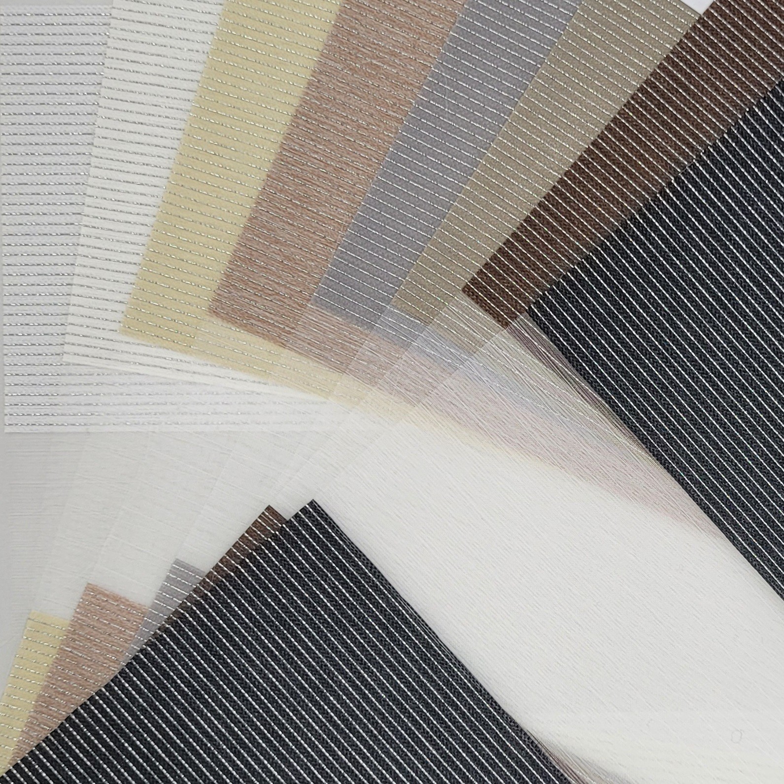 ZEBRA 71 - 78